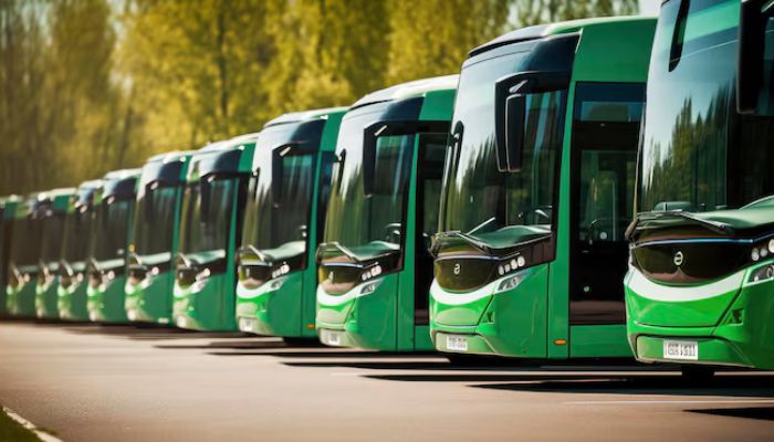 An undated image of Green Buses. — Freepik