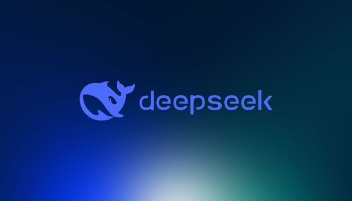 An undated image of the DeepSeek logo. — DeepSeek/Canva