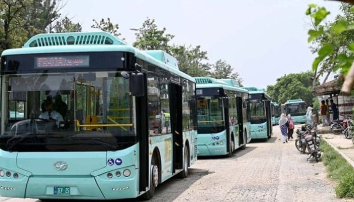 An undated image of electric buses. — APP