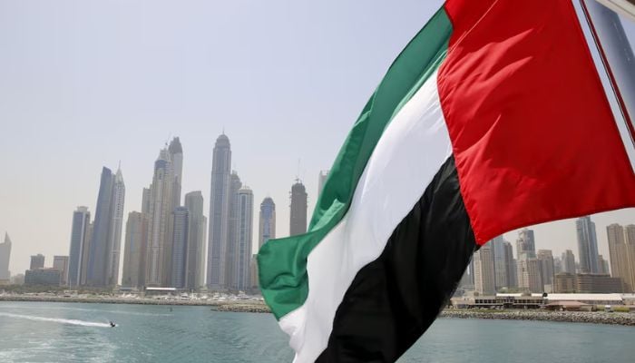 An image of UAE flag flying over a boat at Dubai Marina, Dubai, United Arab Emirates, on May 22, 2015. — Reuters