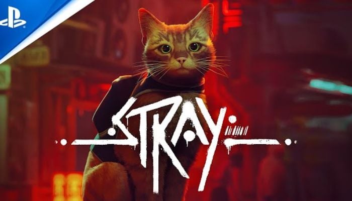 An undated image of Stray poster. — PlayStation