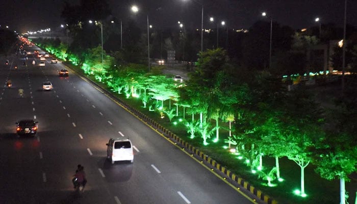 An image shows trees decorated with colourful lights on a green belt, along with cars in Islamabad, taken on October 14, 2024. — Online