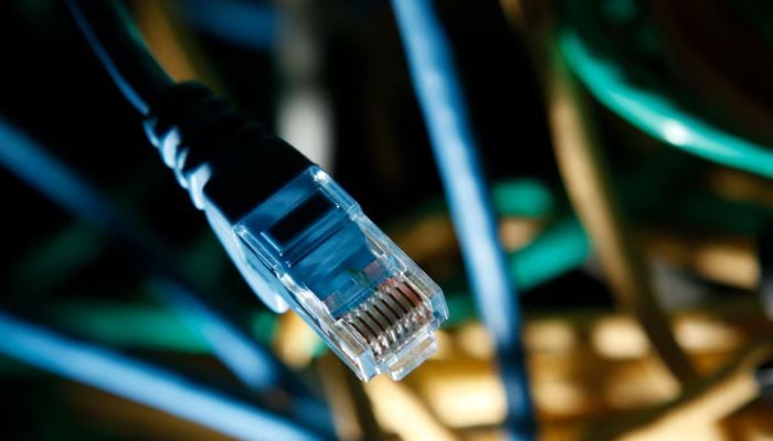 A image of an internet cable is seen at a server room in this picture illustration taken in Warsaw January 24, 2012. — Reuters