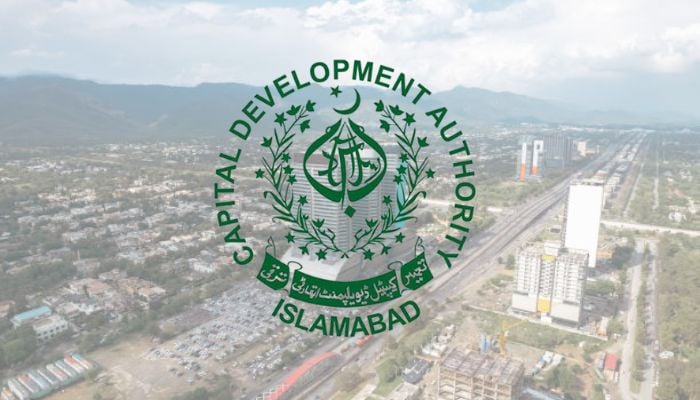 An undated image. — iStock/CDA/Canva