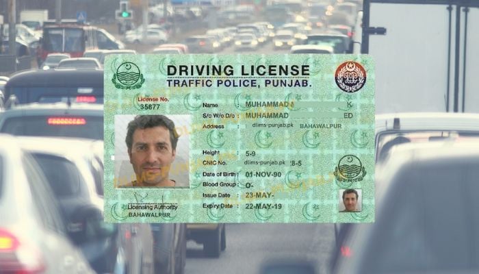An undated image of a driving license with a background of traffic. — DLIMS/Canva