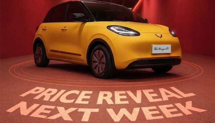 An image of the post of MG Binguo EV price reveal. — Facebook/@MG Motors Pakistan