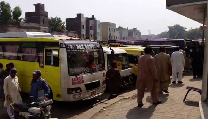 An undated image of buses in Punjab. — APP
