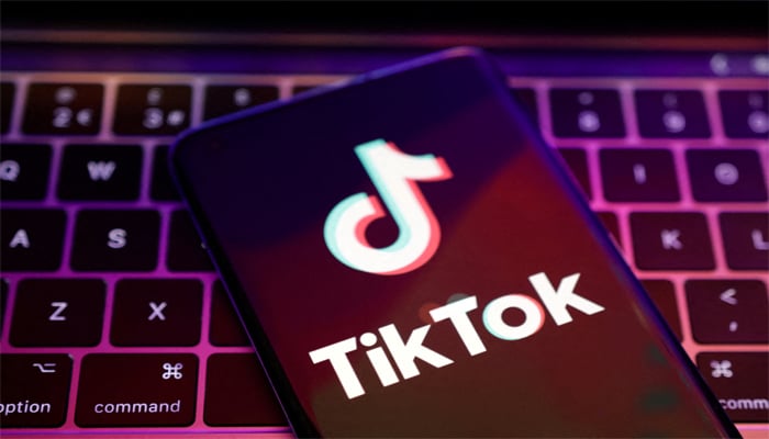 TikTok app logo is seen in this illustration taken, August 22, 2022. — Reuters