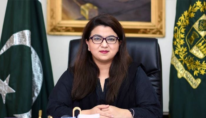 An undated image of Minister for Information Technology Shaza Fatima. — moitt