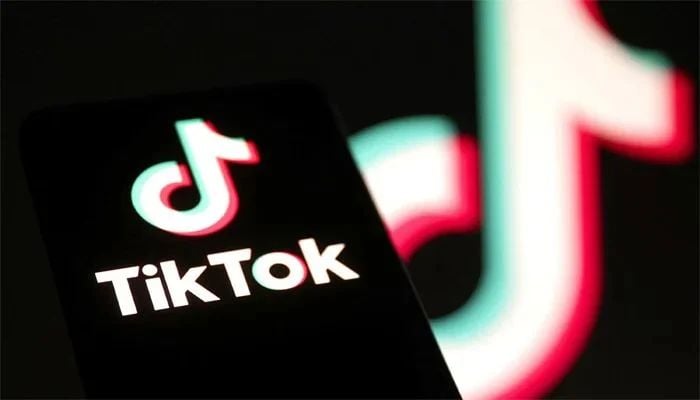 An image of TikTok logo is seen in this illustration taken January 8, 2025. — Reuters