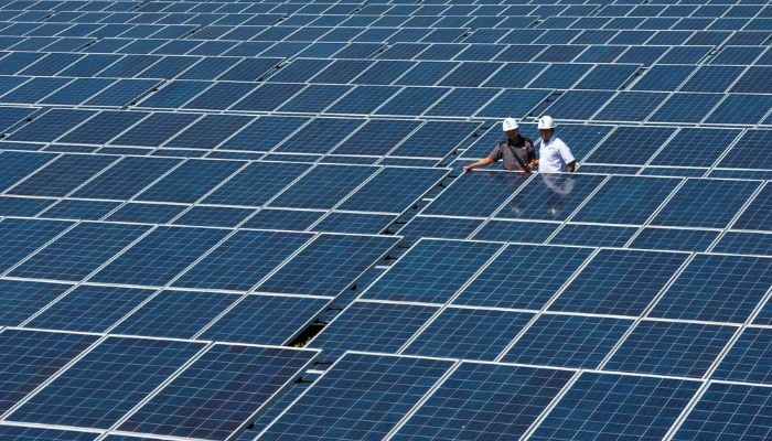 State Electricity Company officials stands between solar cell panels at the largest solar power plant in Indonesia, at Oelpuah village in Kupang. — Reuters