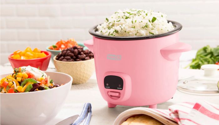 Best affordable rice cookers under $100 in 2026