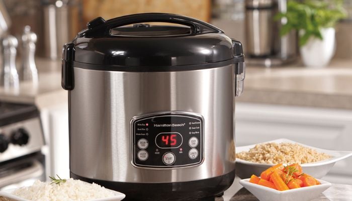 Best affordable rice cookers under $100 in 2026