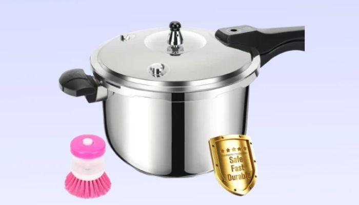 Best pressure cookers to buy under $100 in 2026: Top picks