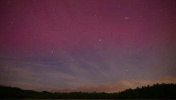 Aurora spectacle: Rare solar storm illuminates night sky worldwide