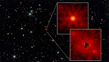 Supermassive black holes arise from cosmic seeds